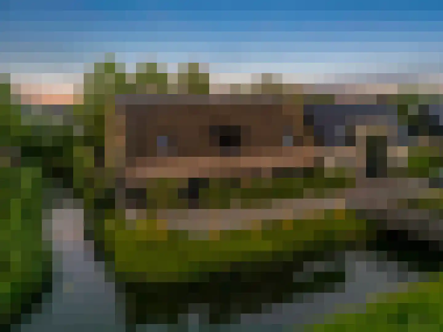 Nijverheidsweg 26 Rhoon thumbnail 6