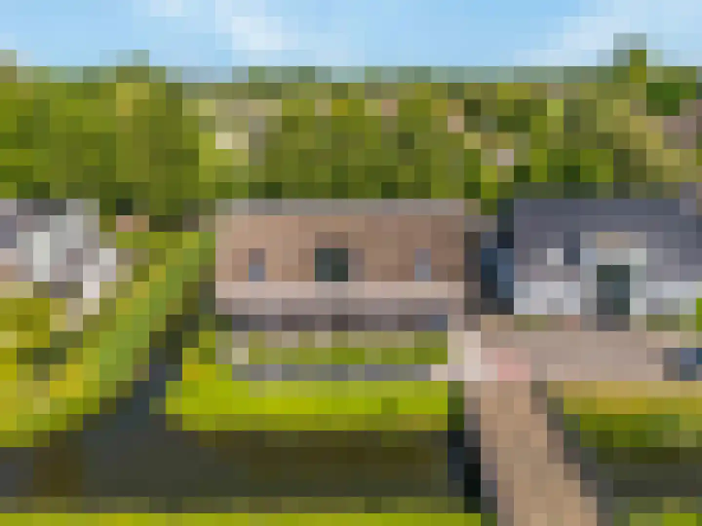 Nijverheidsweg 26 Rhoon thumbnail 7