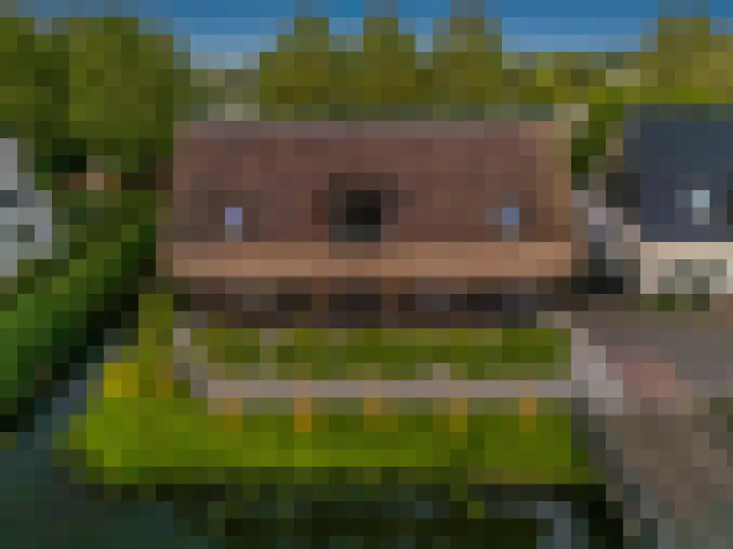 Nijverheidsweg 26 Rhoon thumbnail 8