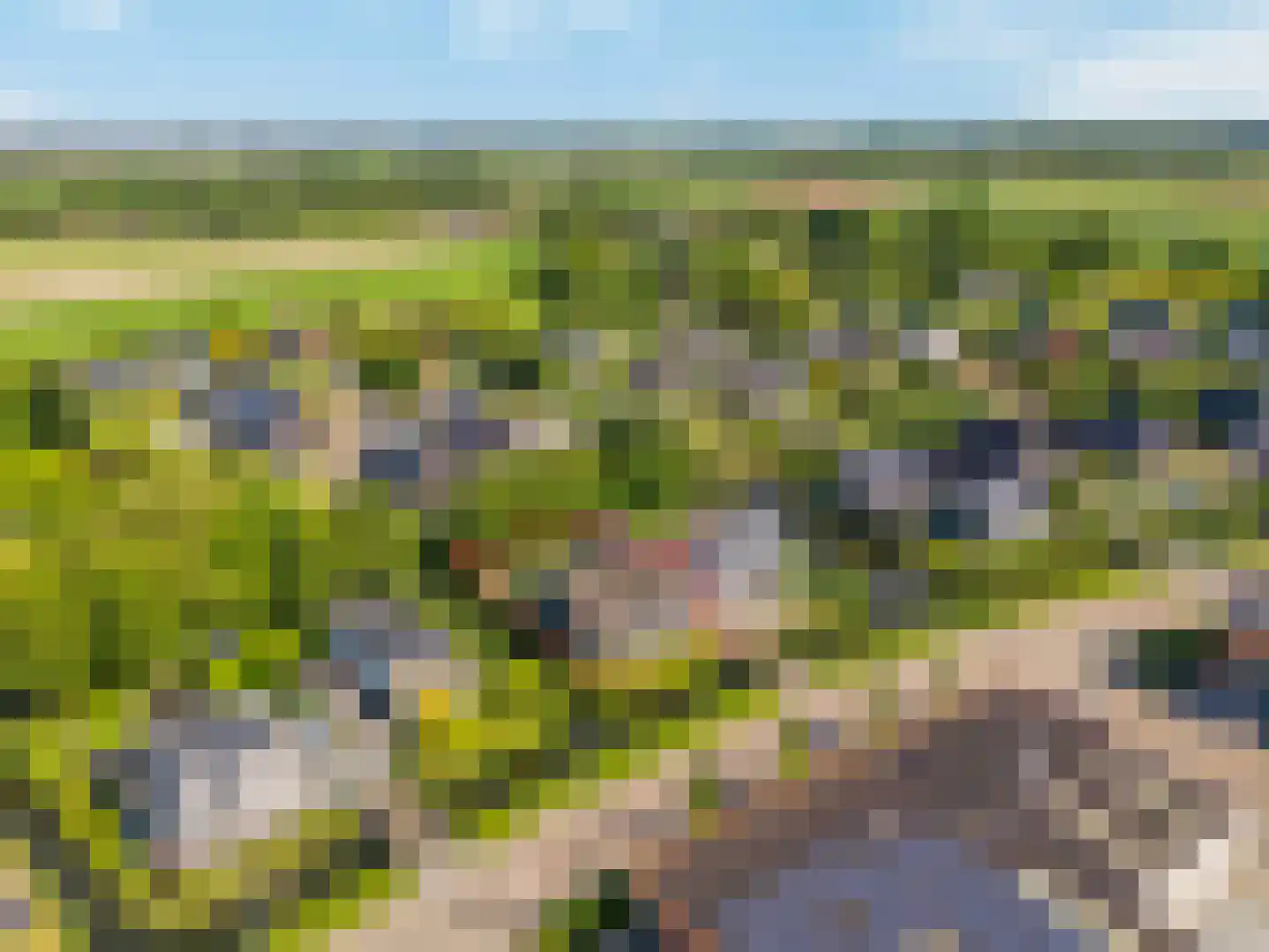 Nijverheidsweg 26 Rhoon thumbnail 9