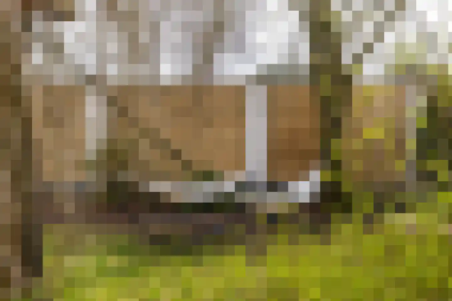Nijverheidsweg 28 B Aalten thumbnail 34