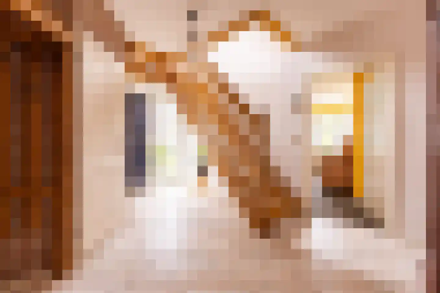 Nijverheidsweg 28 B Aalten thumbnail 6
