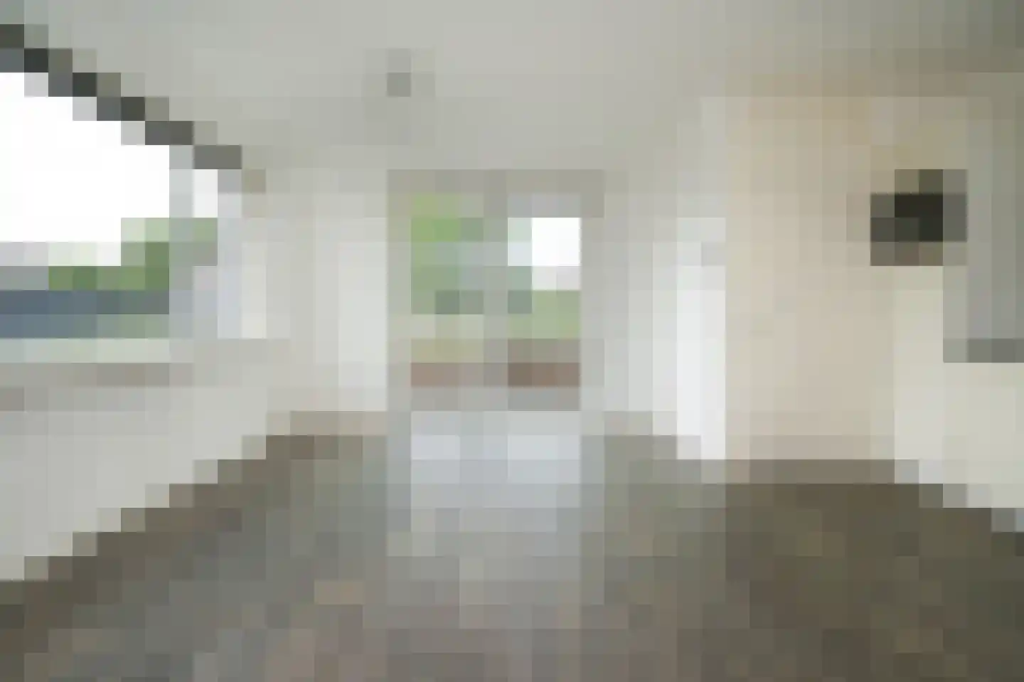 Nijverheidsweg 30 c Woudenberg thumbnail 4