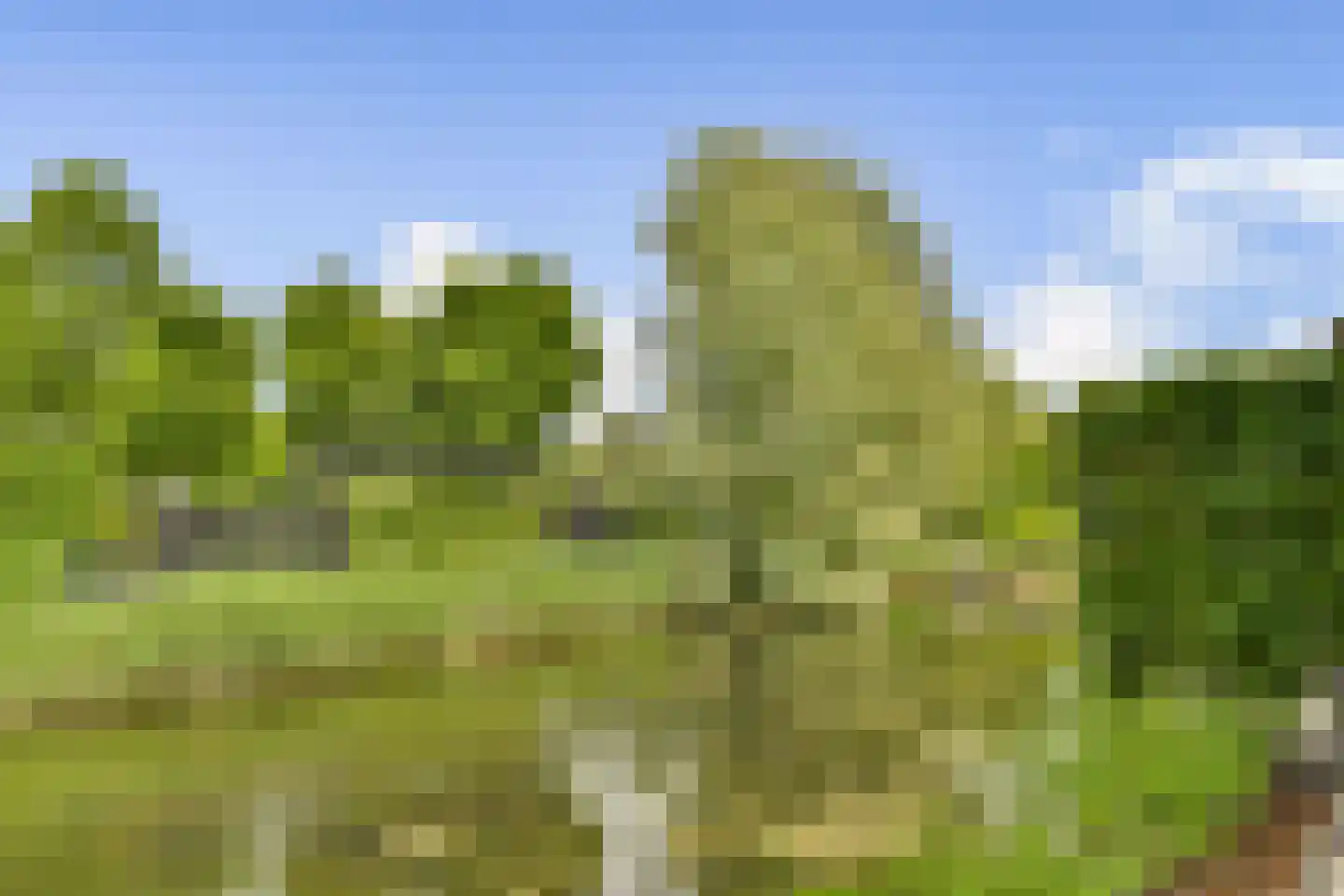 Nijverheidsweg 30 Rhoon thumbnail 23