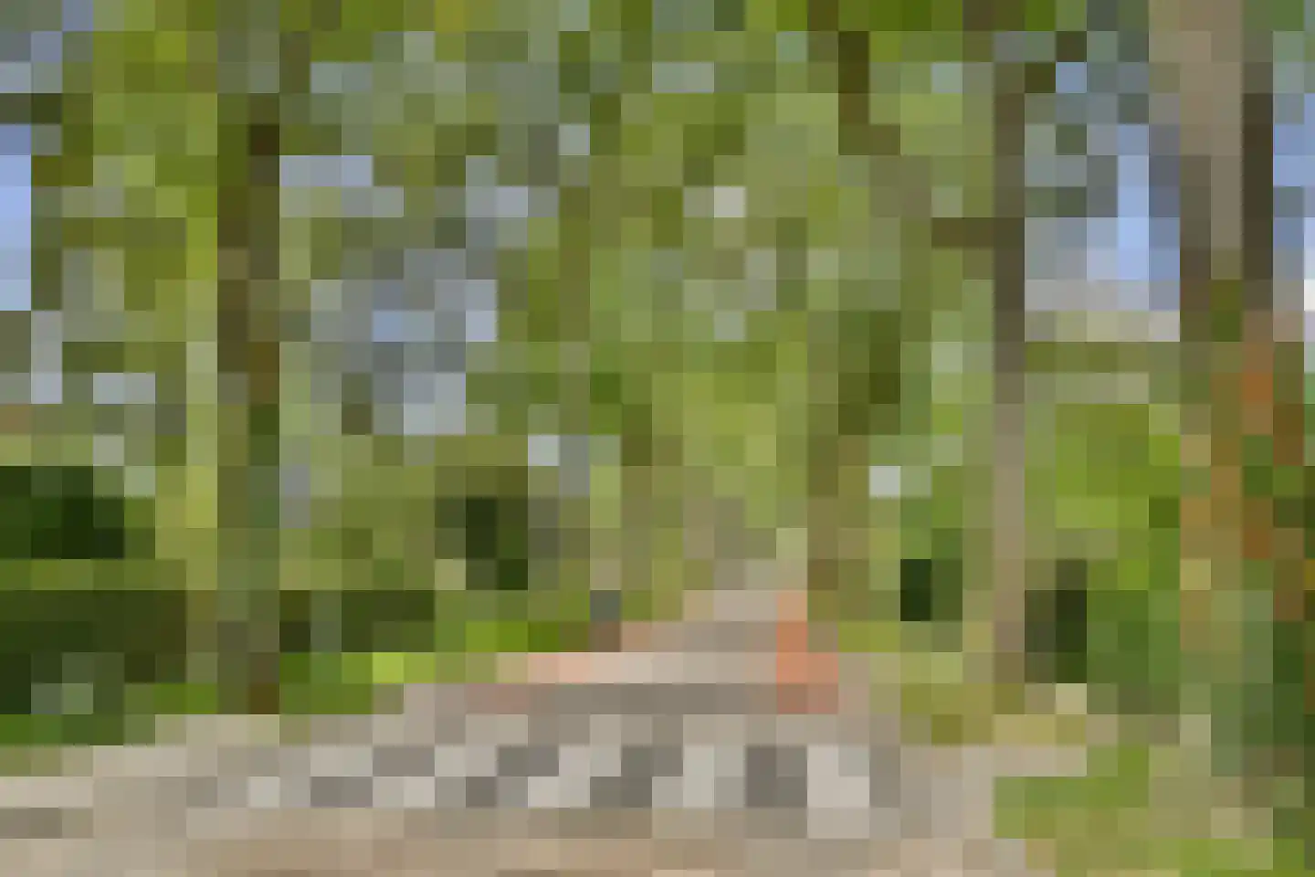 Nijverheidsweg 30 Rhoon thumbnail 37