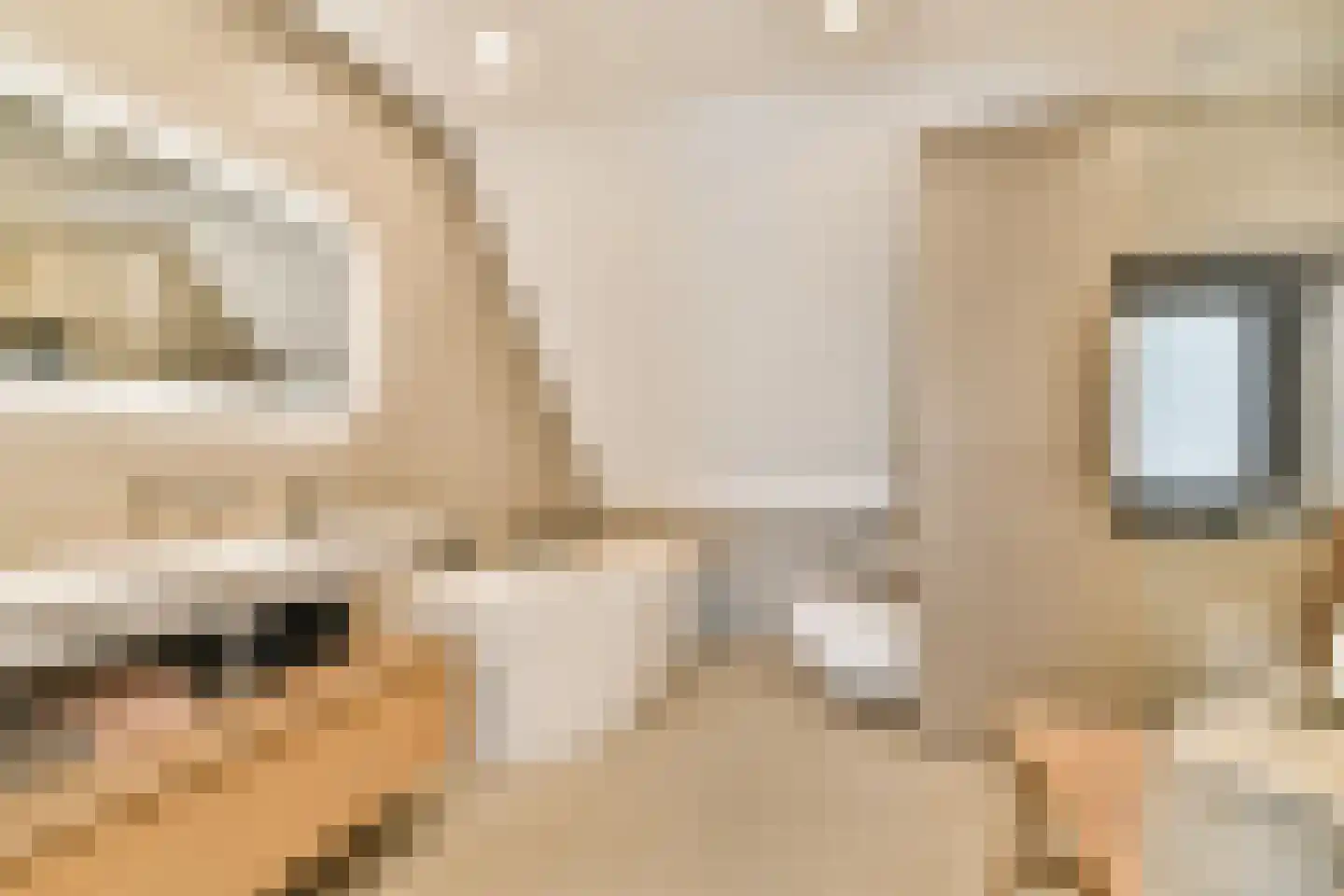 Nijverheidsweg 30 Rhoon thumbnail 4