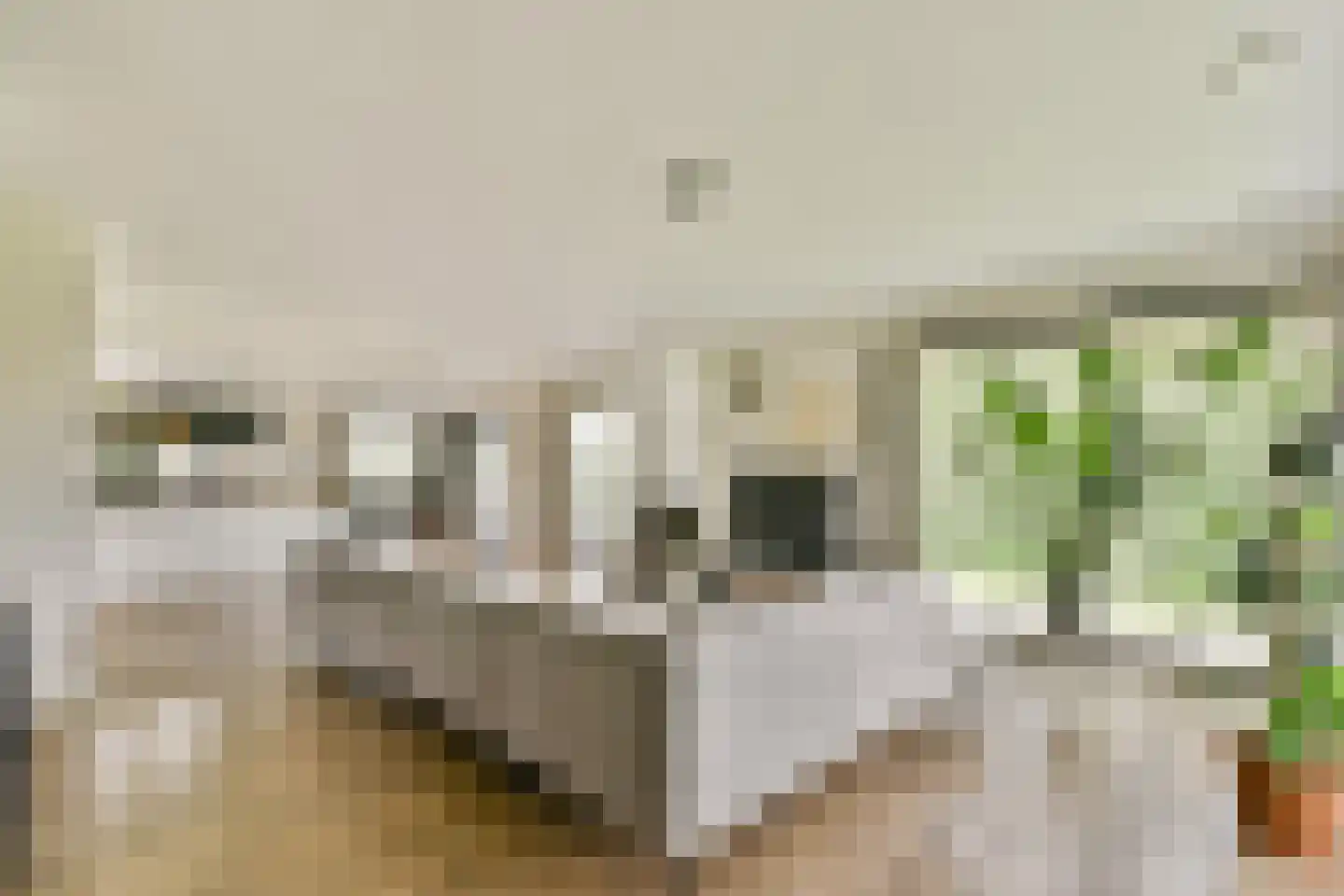 Nijverheidsweg 30 Rhoon thumbnail 8