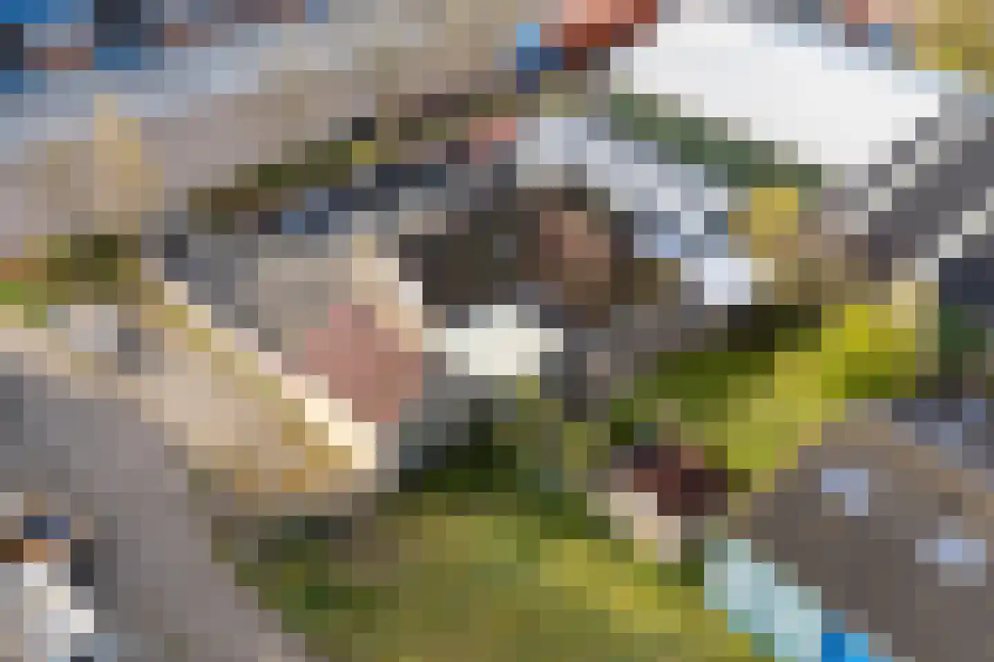 Nijverheidsweg 4 Schagerbrug thumbnail 60