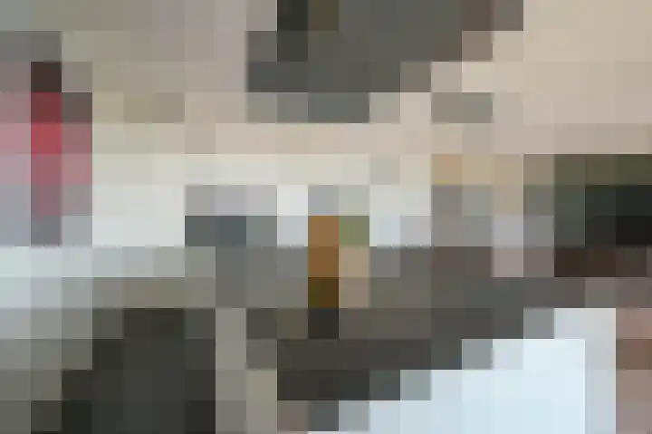 Nijverheidsweg 42 Alphen aan den Rijn thumbnail 11