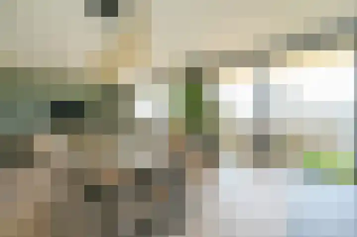 Nijverheidsweg 42 Alphen aan den Rijn thumbnail 12