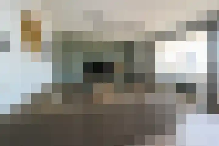 Nijverheidsweg 42 Alphen aan den Rijn thumbnail 4