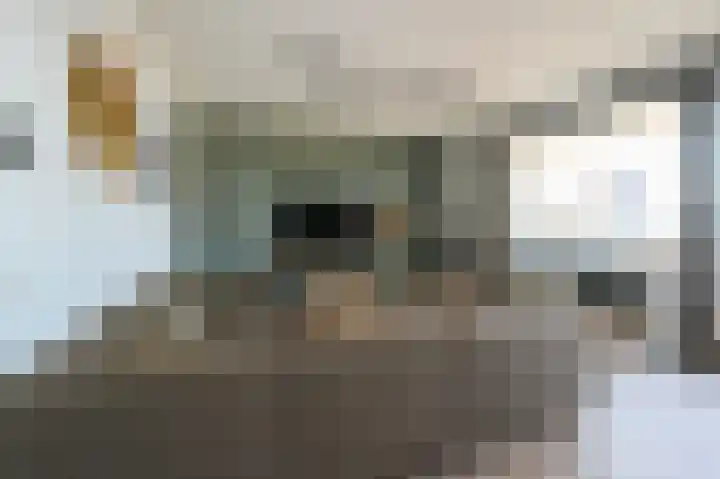 Nijverheidsweg 42 Alphen aan den Rijn thumbnail 8