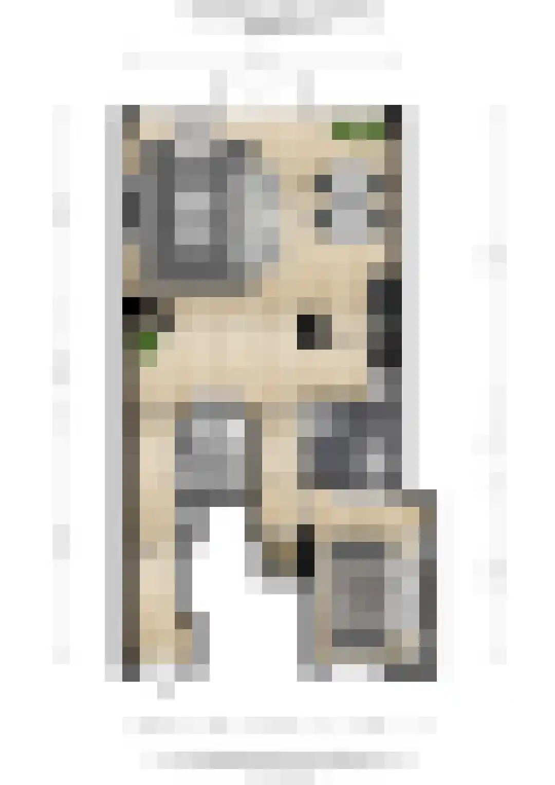Nijverheidsweg 42 b Woudenberg thumbnail 25