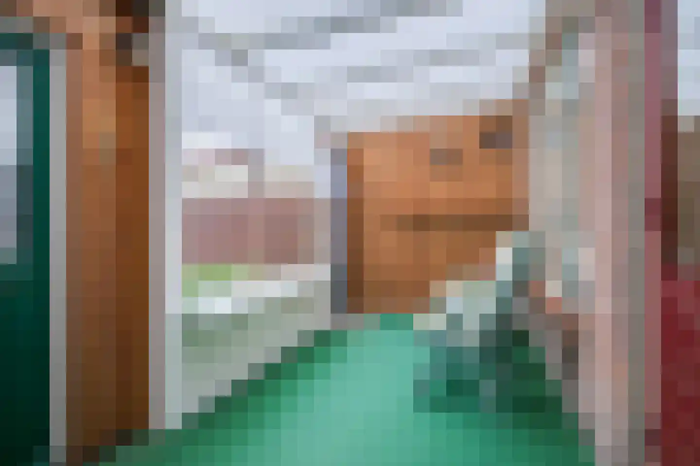 Nijverheidsweg 51 Aalten thumbnail 15