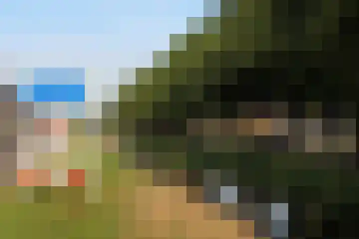 Nijverheidsweg 6 Haulerwijk thumbnail 5
