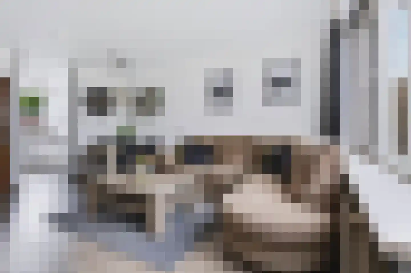 Nijverheidsweg 61 Nunspeet thumbnail 11