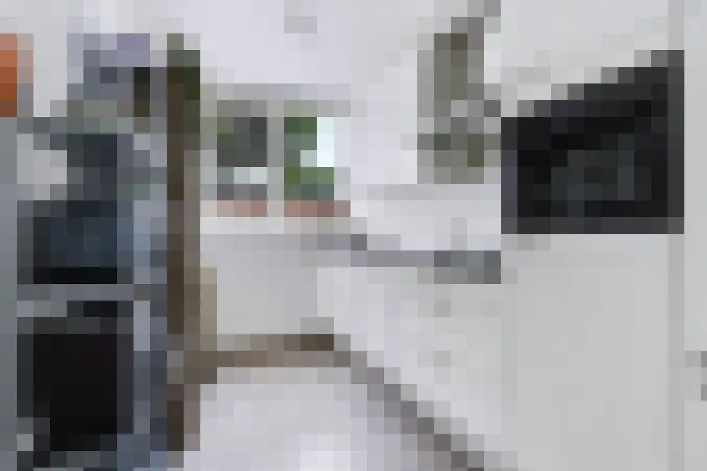 Nijverheidsweg 61 Nunspeet thumbnail 15
