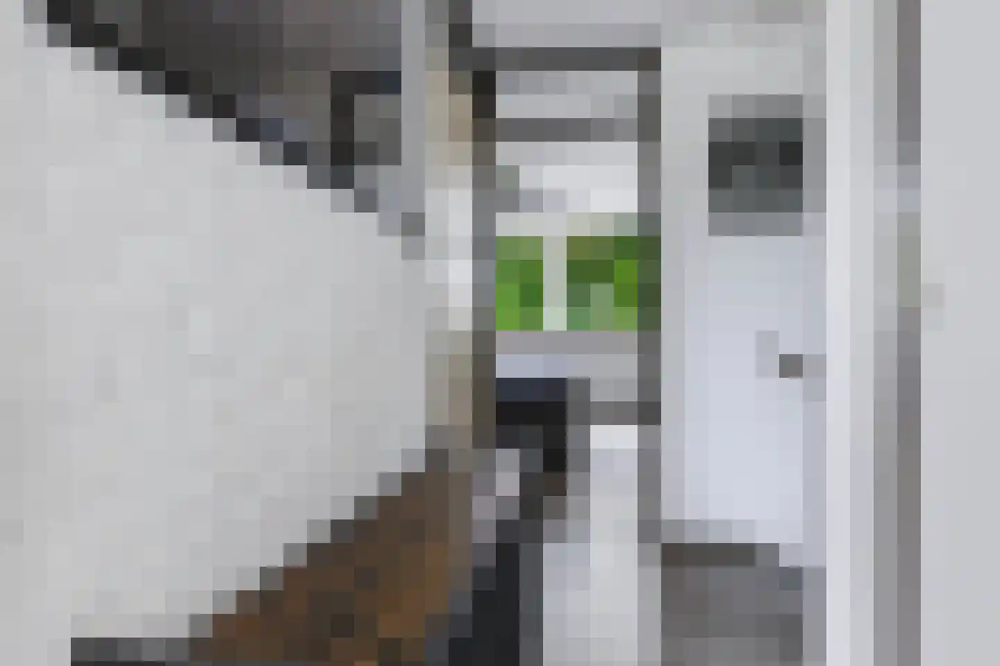 Nijverheidsweg 61 Nunspeet thumbnail 19