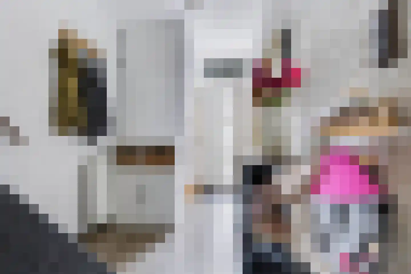Nijverheidsweg 61 Nunspeet thumbnail 8