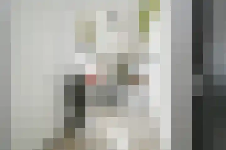 Nijverheidsweg 68 Alphen aan den Rijn thumbnail 16