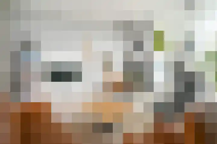 Nijverheidsweg 68 Alphen aan den Rijn thumbnail 6