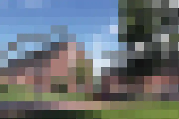 Nijverheidsweg 7 Haulerwijk thumbnail 17