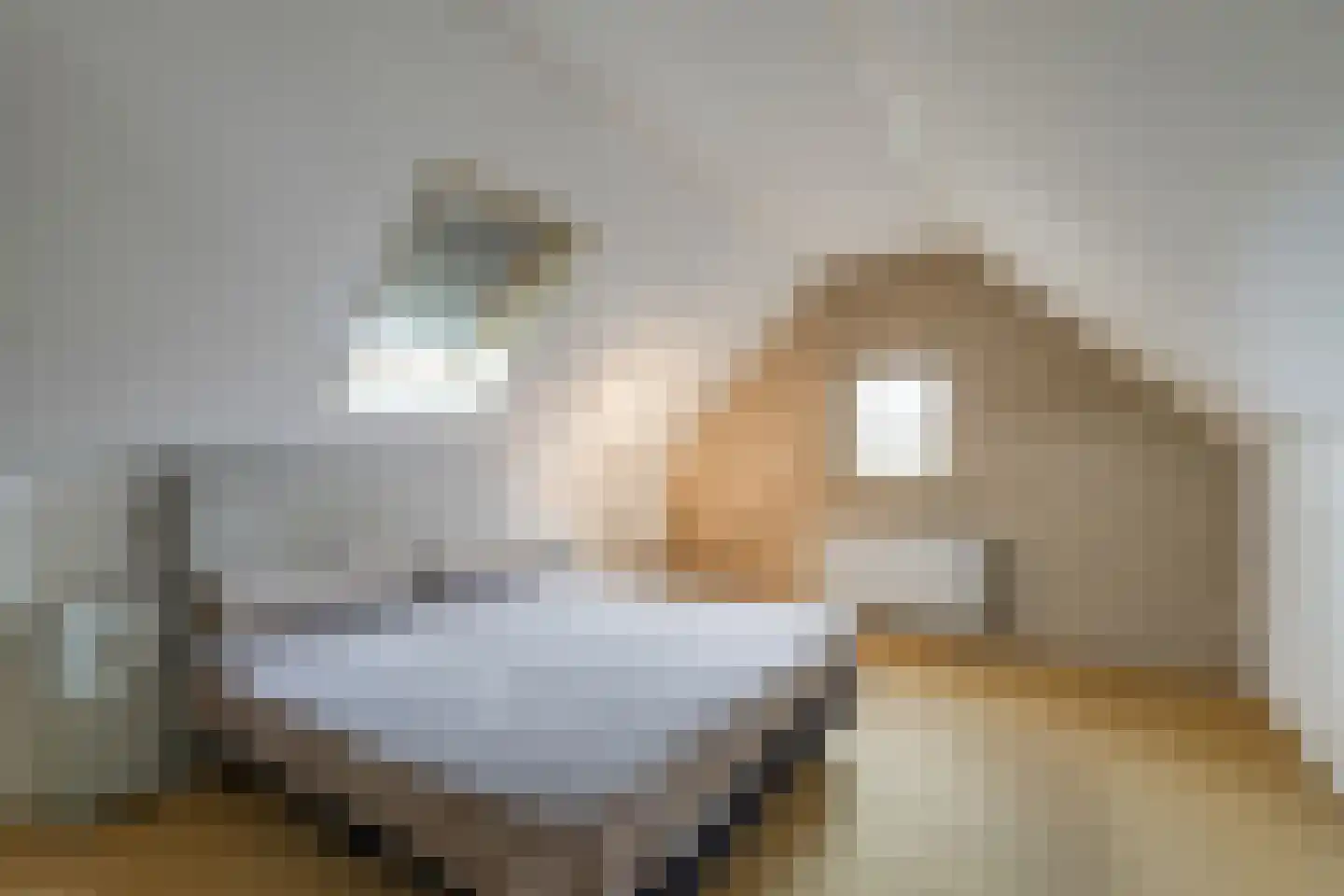 Nijverheidsweg 7 Middenmeer thumbnail 36