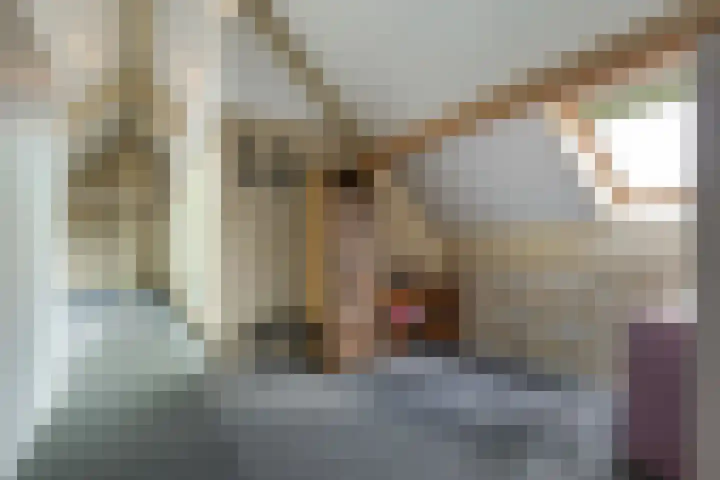 Nijverheidsweg 7 Middenmeer thumbnail 43