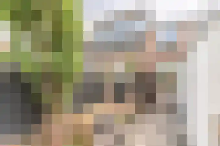 Nijverstraat 106 Tilburg thumbnail 28