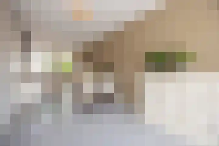 Nijverstraat 53 Tilburg thumbnail 12