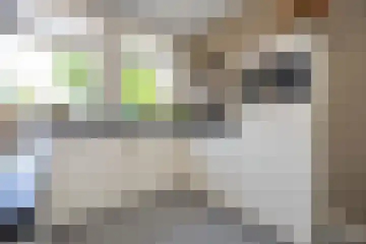 Nijverstraat 53 Tilburg thumbnail 15