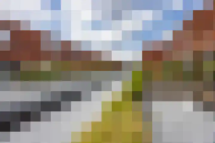 Nijverstraat 53 Tilburg thumbnail 35
