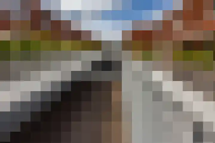 Nijverstraat 53 Tilburg thumbnail 39