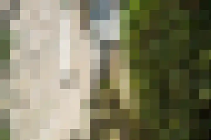 Nijverstraat 89 Tilburg thumbnail 18