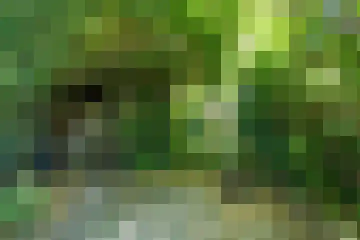 Nijverstraat 89 Tilburg thumbnail 19