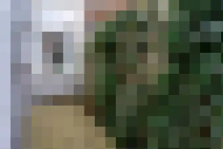 Nijverstraat 94 Tilburg thumbnail 27