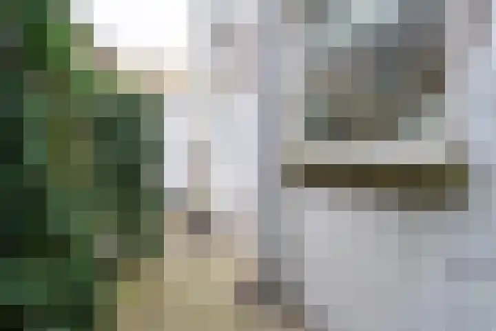 Nijverstraat 94 Tilburg thumbnail 28