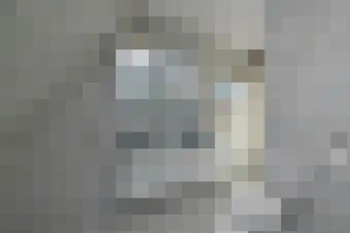 Nijverveld 6 Anna Paulowna thumbnail 20