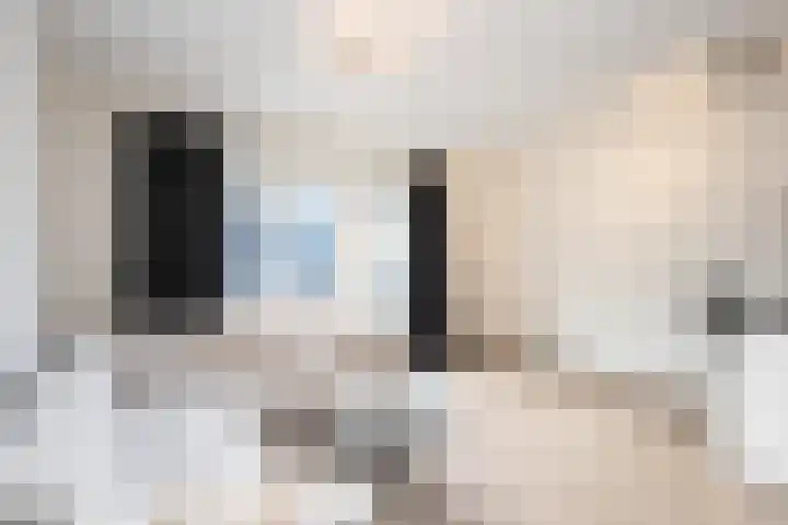 Nikadel 26 A De Koog thumbnail 10