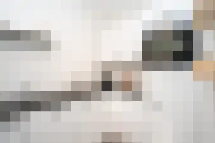 Nikadel 26 A De Koog thumbnail 22