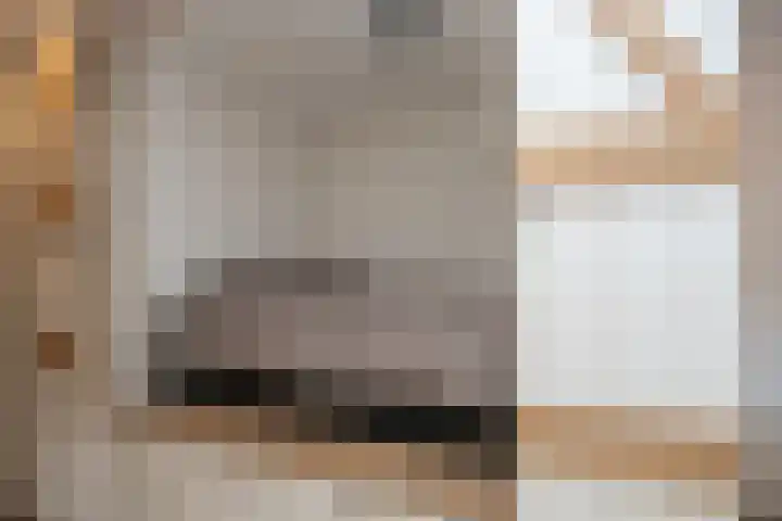 Nikadel 26 A De Koog thumbnail 28
