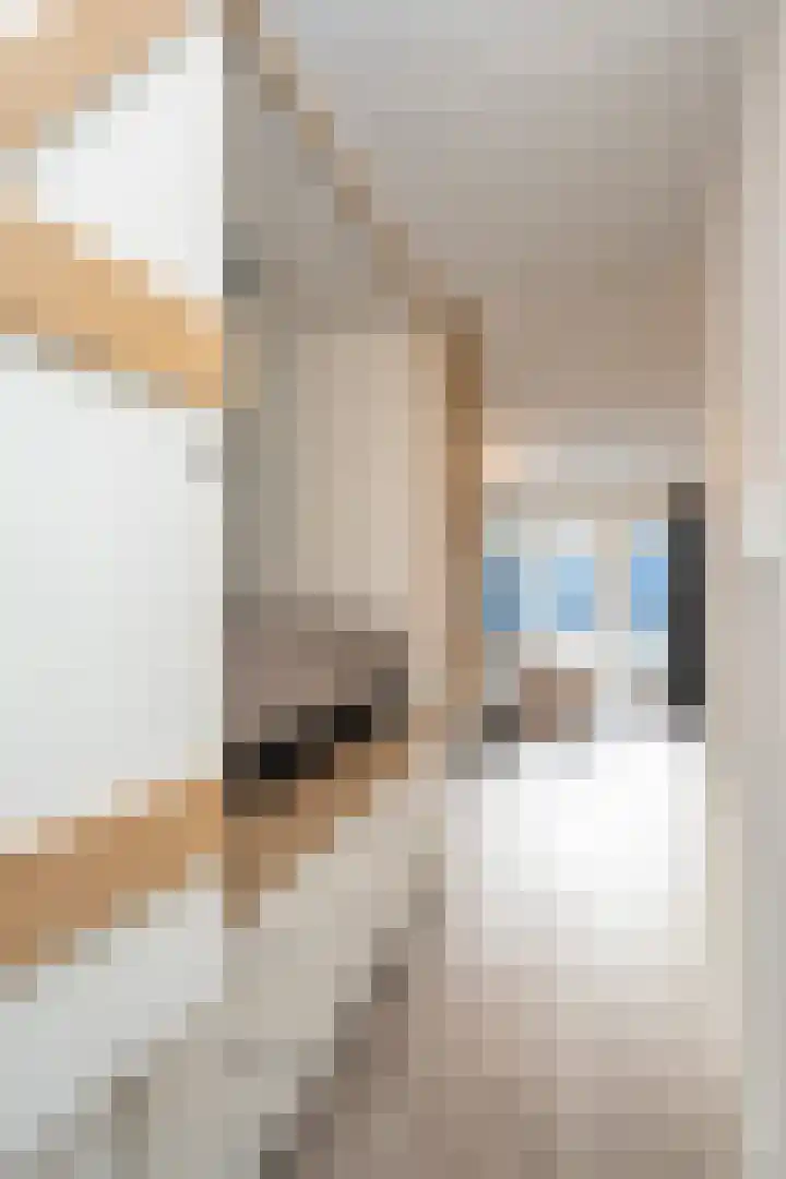 Nikadel 26 A De Koog thumbnail 31