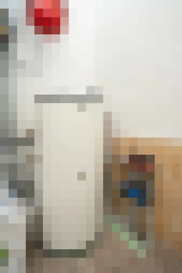 Nikadel 26 A De Koog thumbnail 39