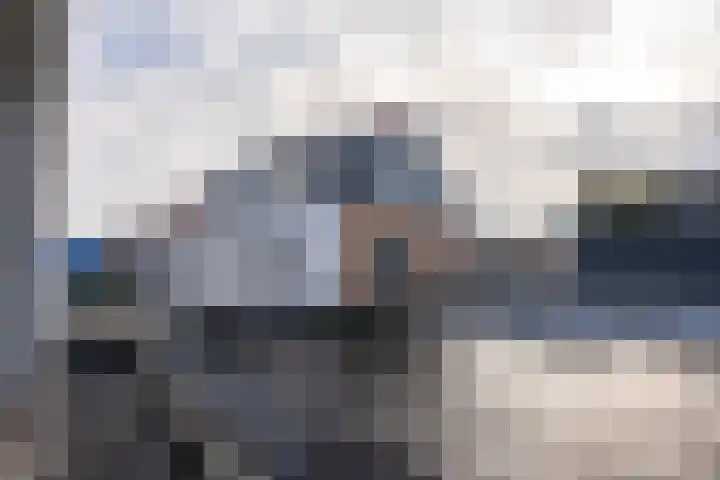 Nikadel 26 A De Koog thumbnail 42