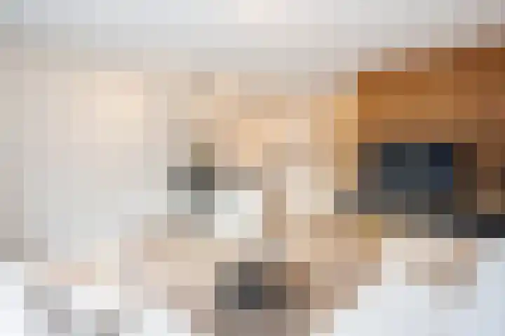 Nikadel 26 A De Koog thumbnail 7