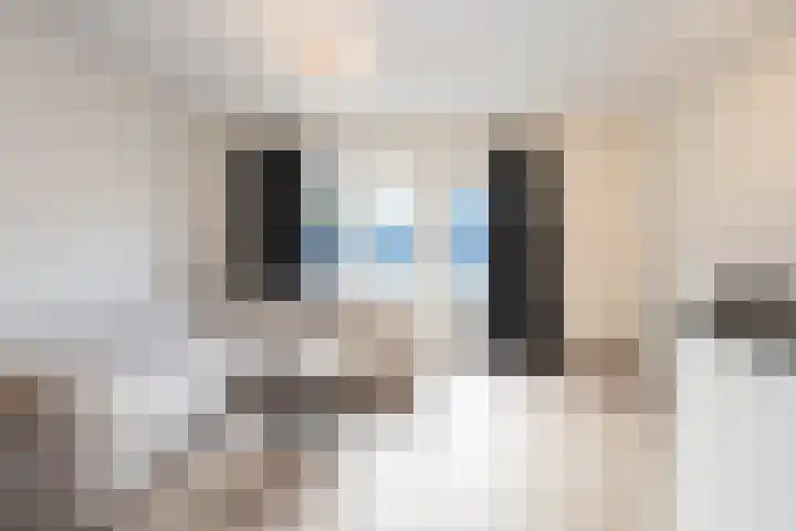 Nikadel 26 A De Koog thumbnail 8