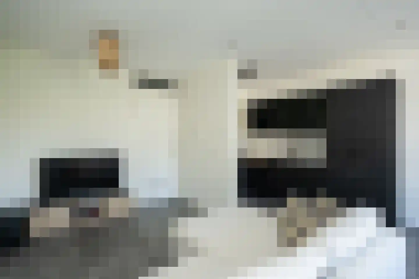 Nikadel 26 G De Koog thumbnail 14