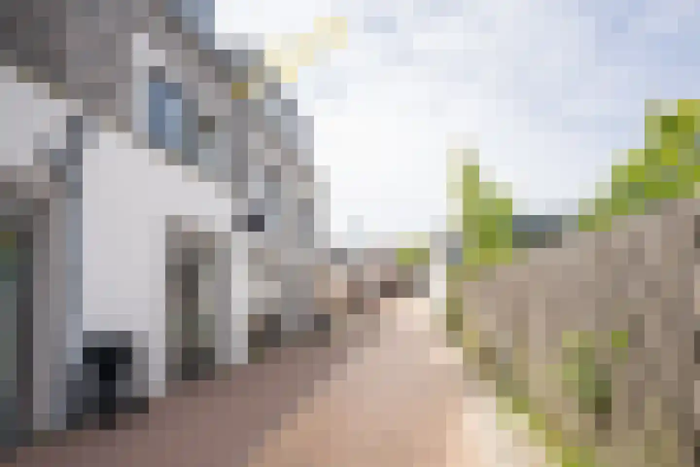 Nikadel 26 G De Koog foto 2