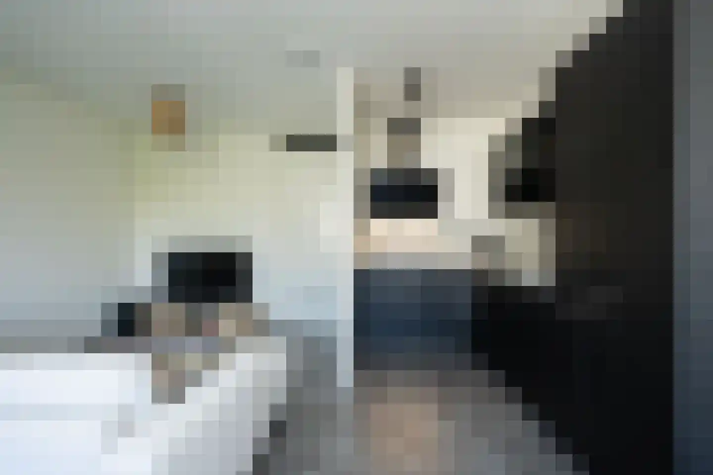 Nikadel 26 G De Koog thumbnail 4