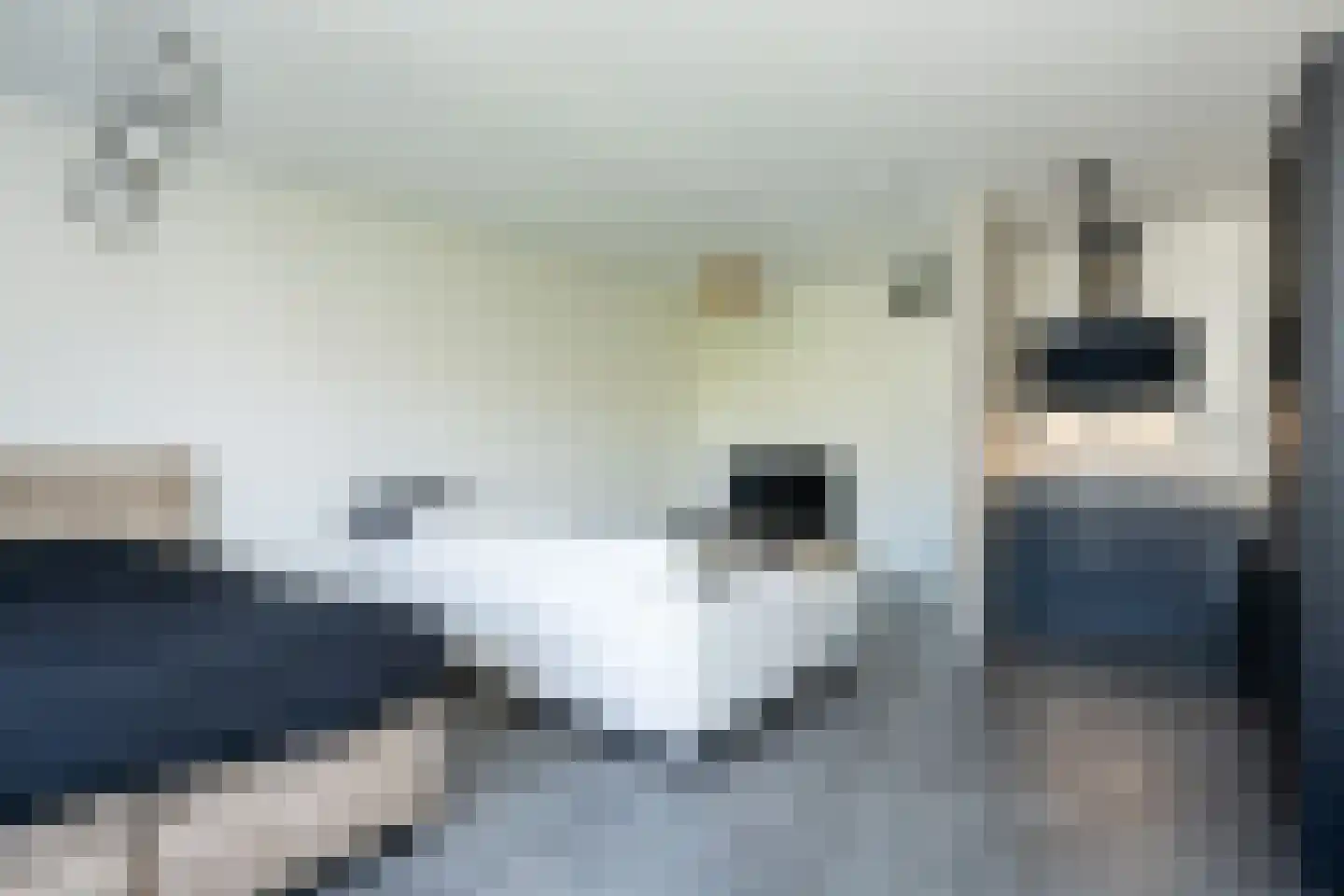 Nikadel 26 G De Koog thumbnail 5